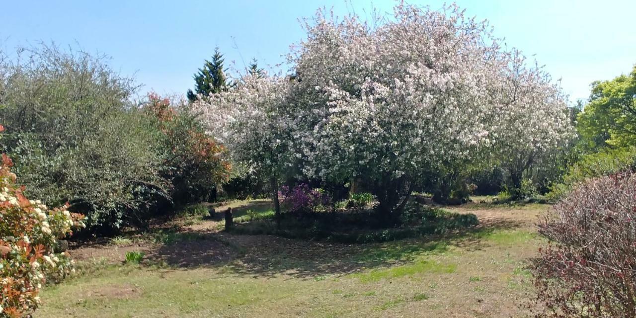 Pin Oak Cottage Underberg Esterno foto